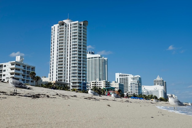 Modern buildings by sea against sky in city