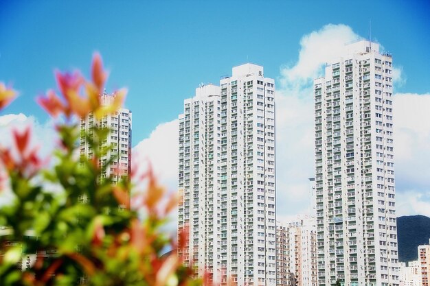 Photo modern buildings in city against sky