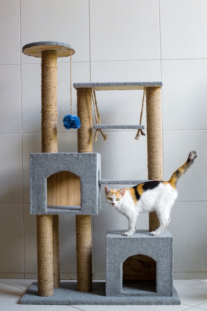 나무로 만든 현대 고양이 폰도