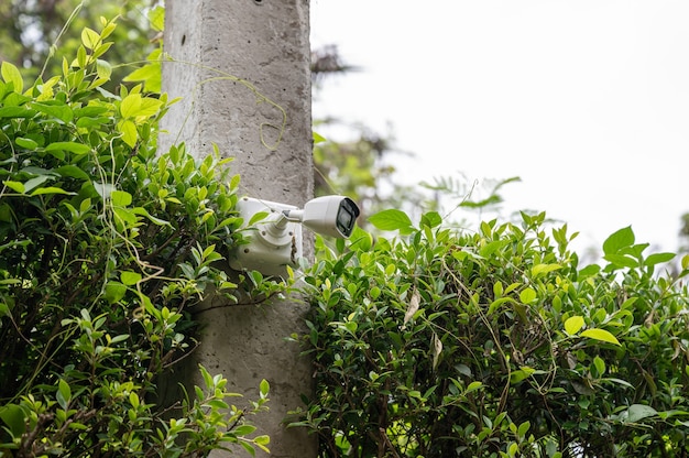 Modern CCTV-beveiligingscamerasysteem te installeren op een cementpaal in de tuin