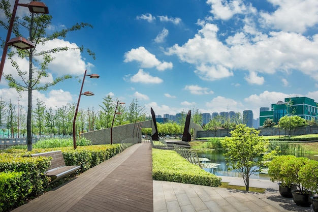 Modern city buildings park foreground