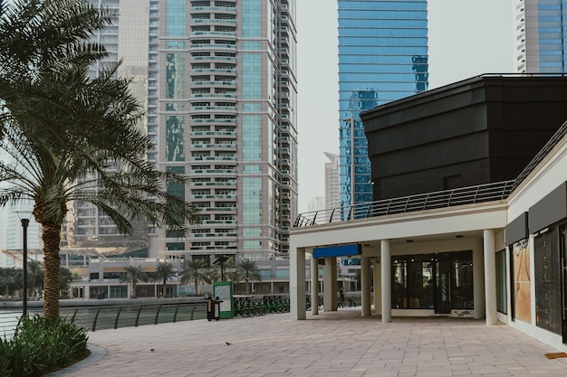 Photo modern city skyscrapers buildings with business and residential towers around the lake and palm tree