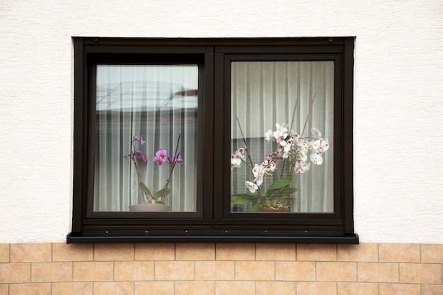 Modern classic window and decoration in house of german people at Sandhausen district and village in Heidelberg Germany