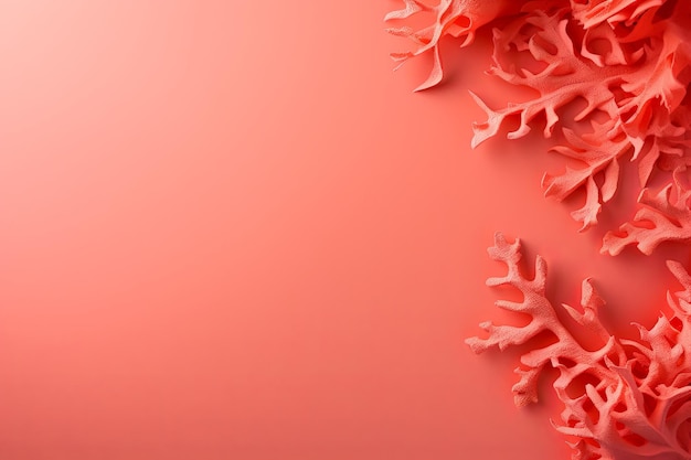 modern color background with copyspace copy space for mockup template empty blank space for design