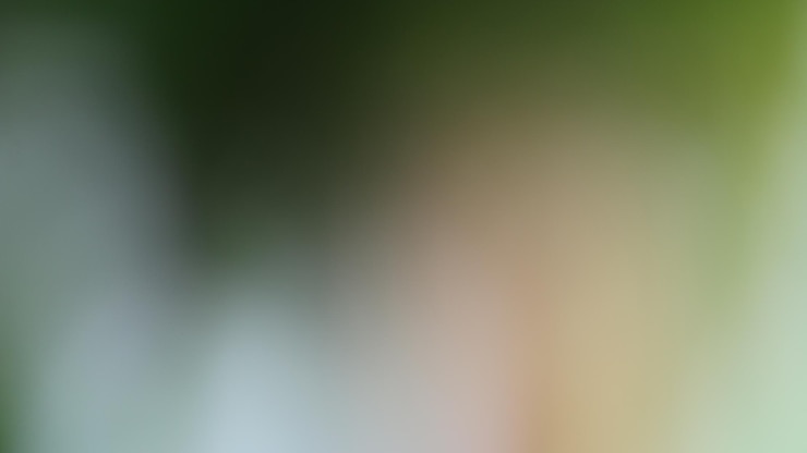 Photo modern colorful gradient mesh color background