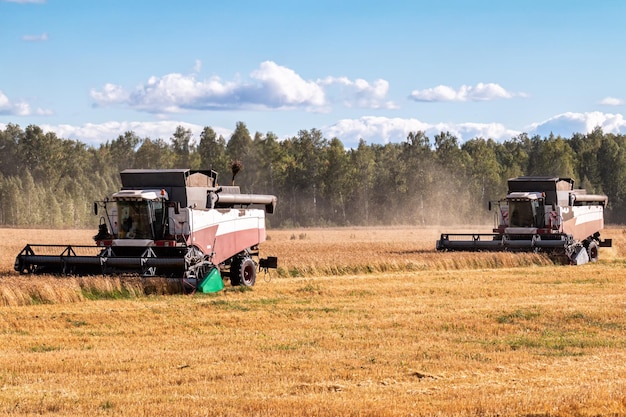 Modern combine harvesters working in the field