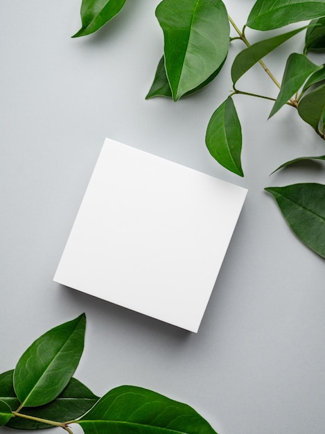 Фото Современный пустой дисплей продукта минимальная белая коробка с зелеными листьями на сером фоне концепция витрины со сценой для презентации продукта продажа или рекламный баннер косметики