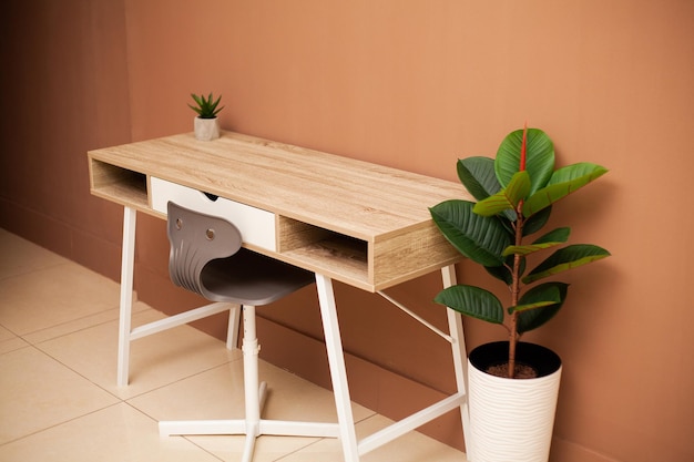 Modern empty wooden table and green plant