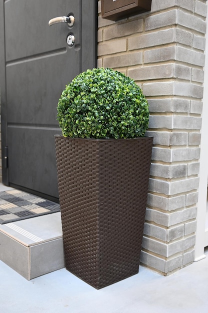 Modern entrance with artificial boxwood ball House outdoor decoration Vertical photo