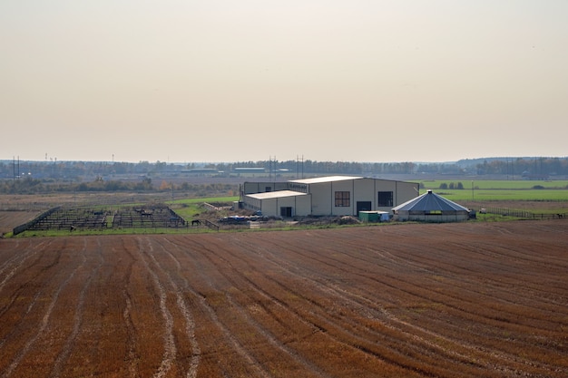 Foto fattoria moderna situata in un polder di san pietroburgo. è una soleggiata sera d'estate. stabile in campo.