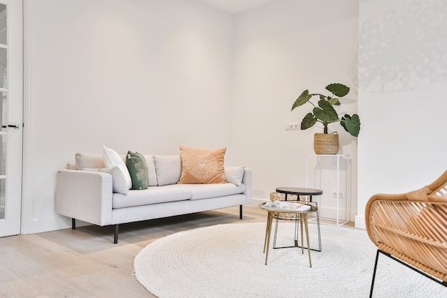 Modern furniture in a bright living room