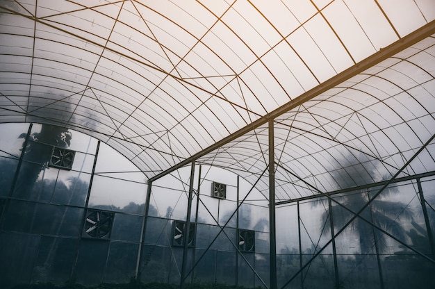 Modern gesloten landbouwsysteem Voor het kweken van planten met technologie en innovatie