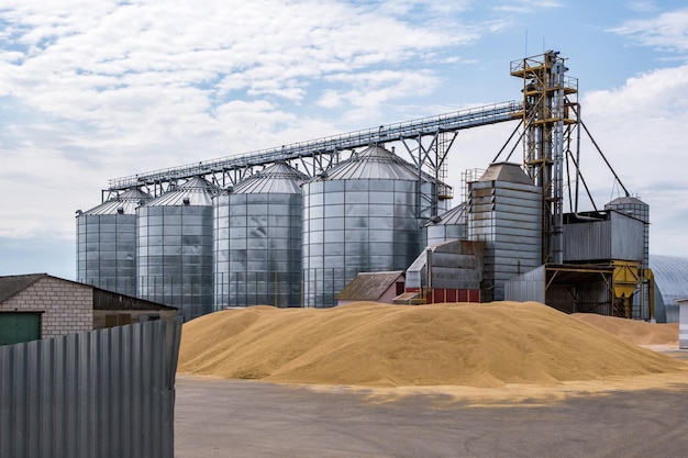 현대 곡물 창고의 은색 사일로 농산물 밀가루 곡물 및 곡물의 건조 청소 및 저장을 처리하기 위한 농가공 및 제조 공장