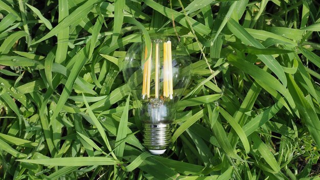 Modern green led bulb in the grass