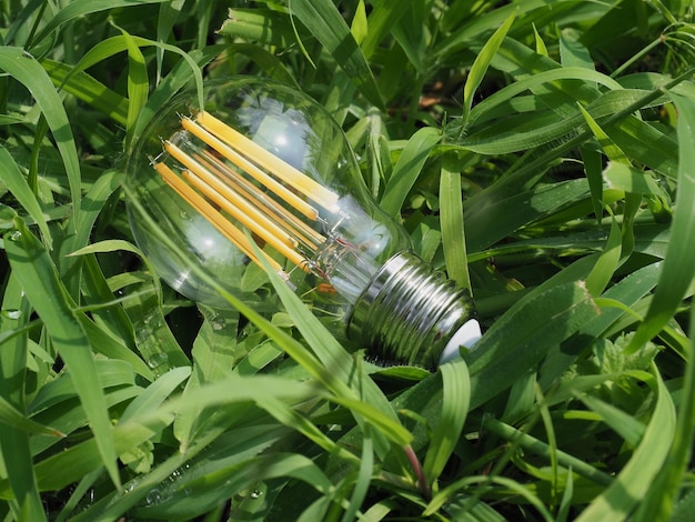 Modern green led bulb in the grass