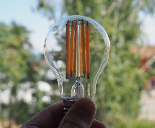 Modern green led bulb