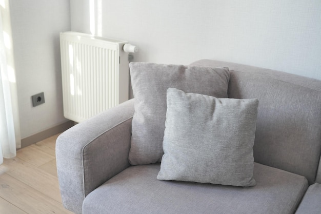 Modern grey sofa with pillows in living room at home