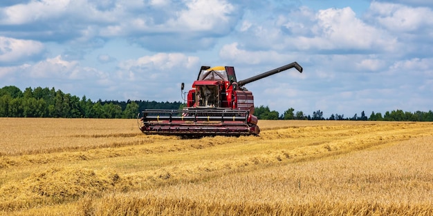 modern heavy harvesters remove the ripe wheat bread in field Seasonal agricultural work