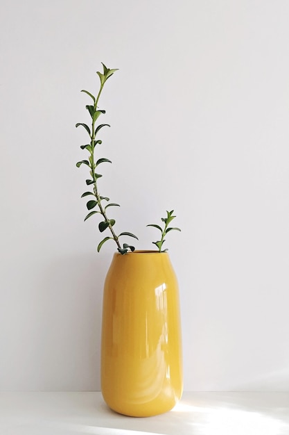 Modern Illuminating yellow vase with plant on white wall