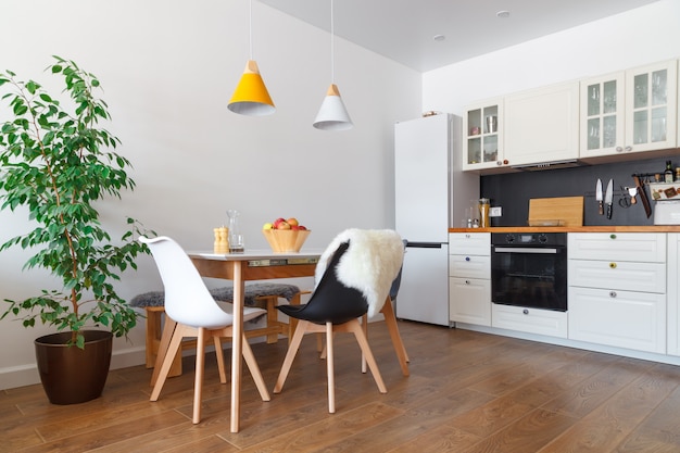 Modern interior of kitchen, white wall, wooden chairs, green flower in pot