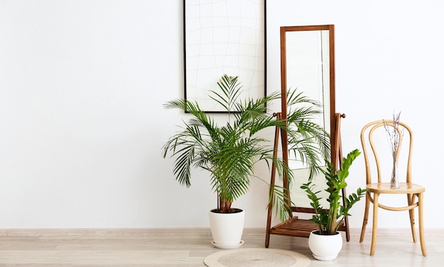 열대 식물 들 이 있는 큰 세련 된 거울 을 가진 현대적 인 인테리어