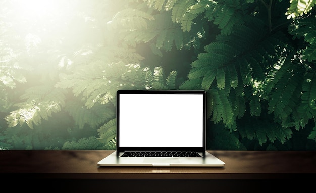 Modern laptop isolated on green leaf background 3D illustration