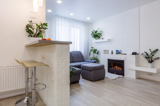 Modern living room and kitchen in small apartment