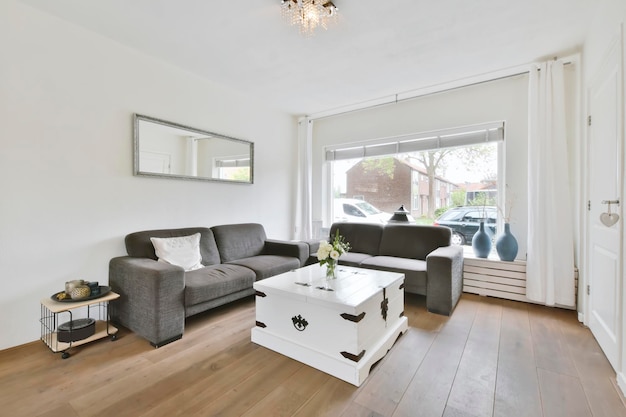 Modern living room with grey sofa