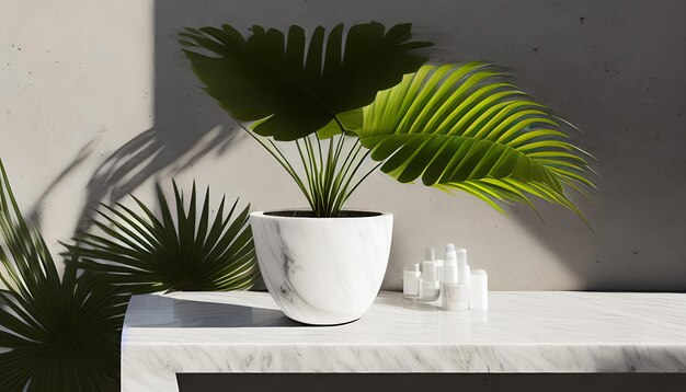 Modern minimal empty white marble stone counter table top palm tree in sunlight