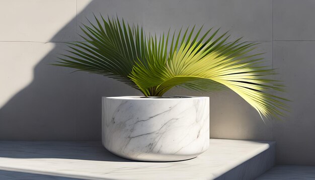 Foto moderno minimo vuoto marmo bianco pietra contro tavolo palm tree alla luce del sole