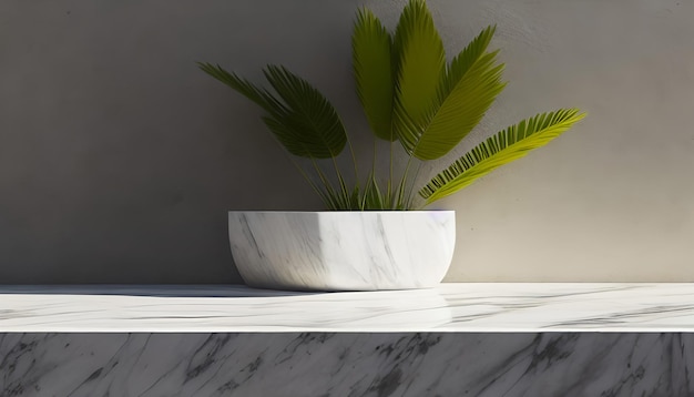 Modern minimal empty white marble stone counter table top palm tree in sunlight