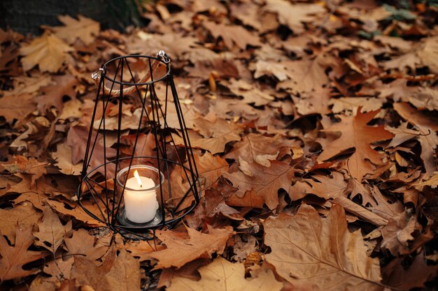 Modern minimalist black lantern with burning candle on background of autumn leaves in forest Hello Fall Glowing lantern in moody autumn woods Copy space Halloween time