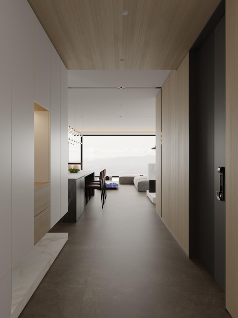 modern minimalist hallway interior