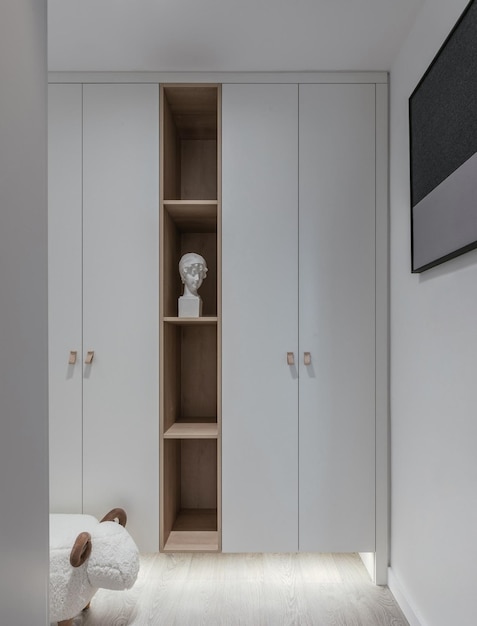 Modern Minimalist Wardrobe Design