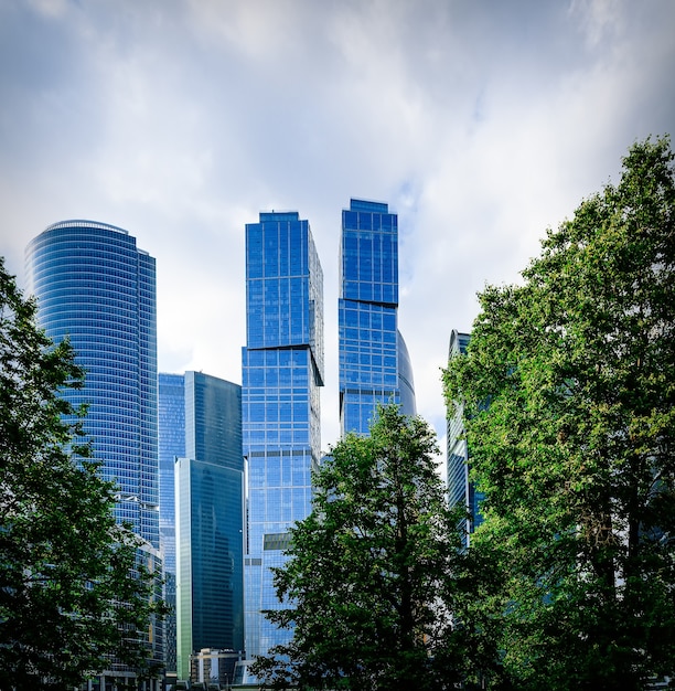 Modern office buildings and green trees of the city park