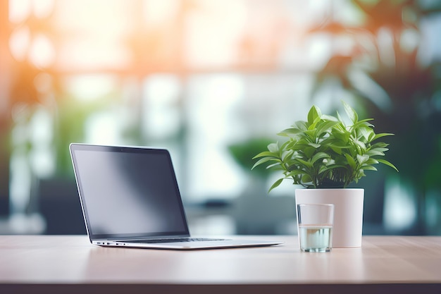 Modern Office Desk With One Laptop Computer And A Potted