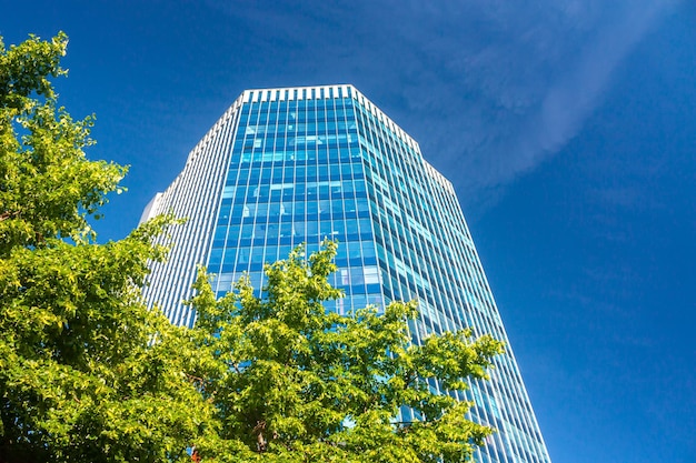 A modern office skyscraper on a clear day next to a green tree