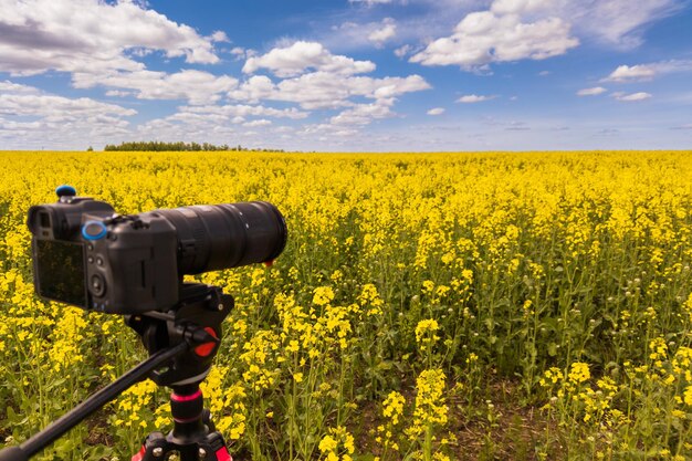 Modern professional mirrorless camera on tripod shooting yellow field on tripod closeup