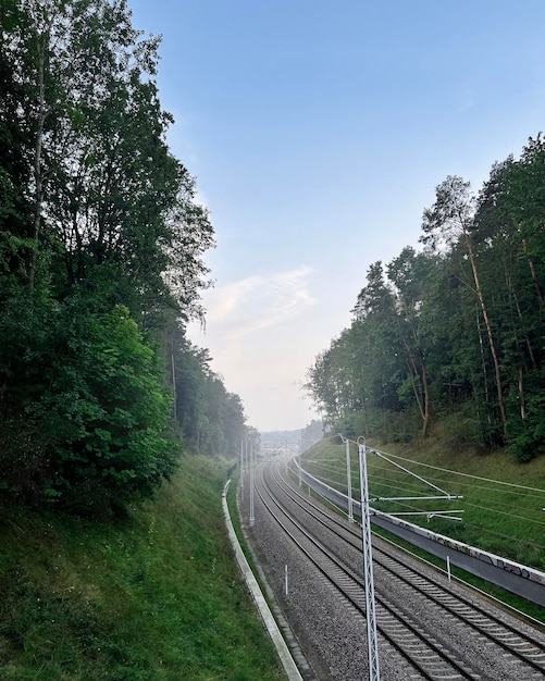 Modern railway track going through forest after the rain with some subtle fog