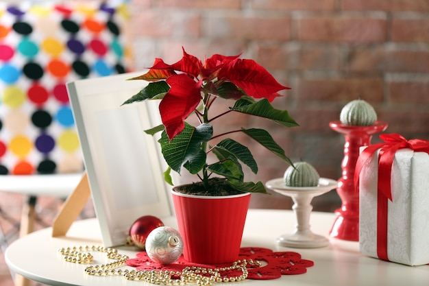 Interno moderno della stanza con la stella di natale del fiore di natale