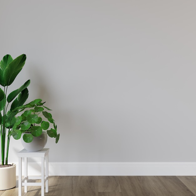 Modern Room Wall Mockup, Empty Wall Behind Plants, 3D Render