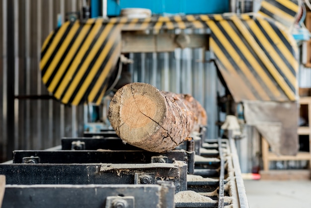 Modern sawmill. Industry sawing boards from logs