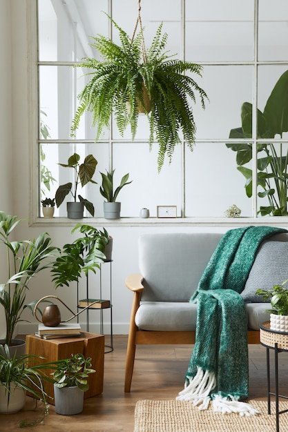 Modern scandinavian interior of living room with design grey sofa, armchair, a lot of plants, coffee table, carpet and personal accessories in cozy home decor. Template.