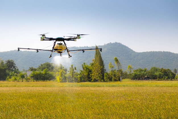 Modern smart farm with drone