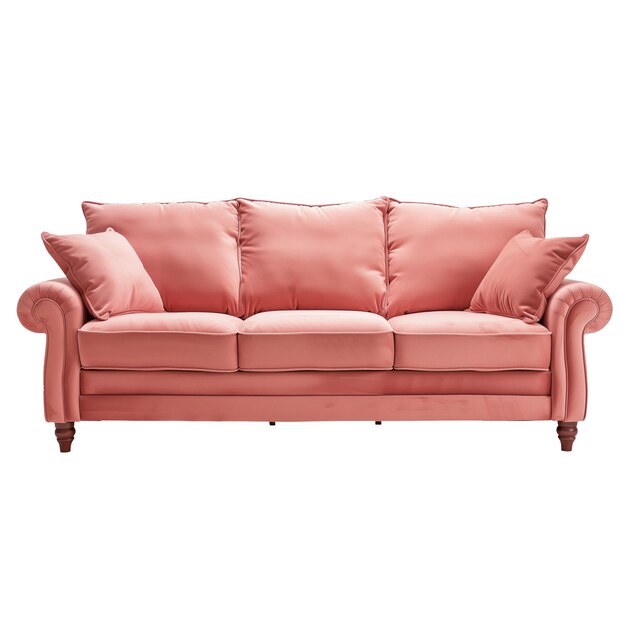 Modern sofa in pink color isolated on white or transparent background modern sofa closeup front view