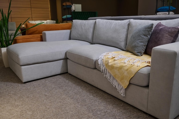 Modern soft cozy gray sofa with stylish velour cushions and yellow blanket displayed for sale in a showroom of an upholstered furniture store for home furnishing Interior design and home decoration