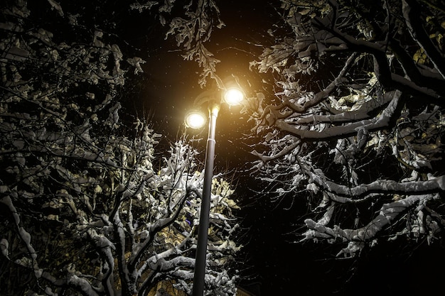 Foto lampione moderno in inverno. neve sugli alberi intorno.