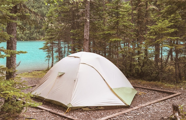 Modern tourist tent hanging between trees in green forest