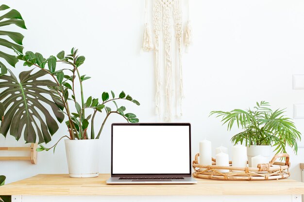 Modern trendy home office workplace with green plants and boho interior decor background. Still life composition with white screen laptop