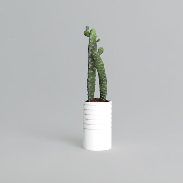 Modern white potted cactus isolated on gray background